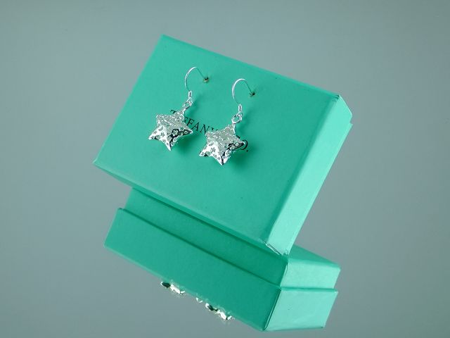 tiffany Earrings-076